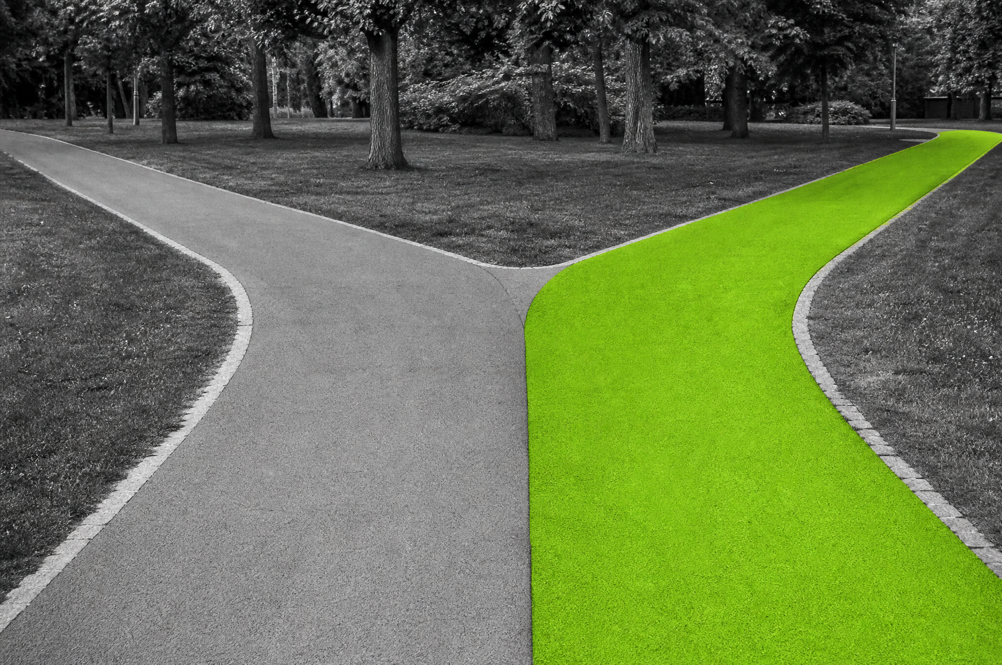 Primo piano sul punto di biforcazione, un percorso verde lime